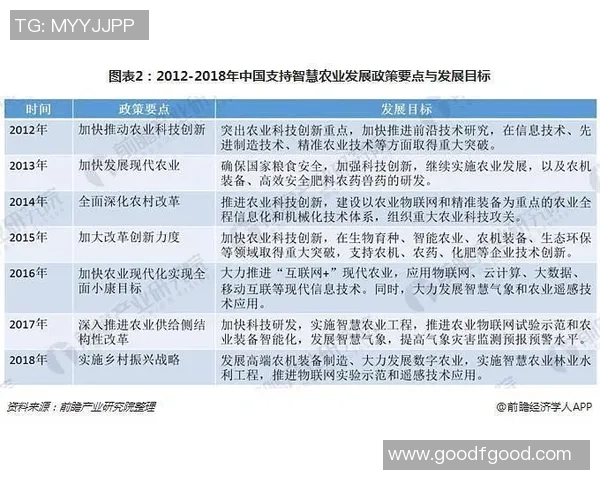 广州篮球队的节奏革新探索与未来发展之路分析