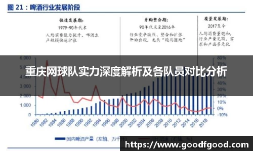重庆网球队实力深度解析及各队员对比分析